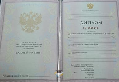 Диплом Амурского колледжа сервиса и торговли 2003-2006 годов